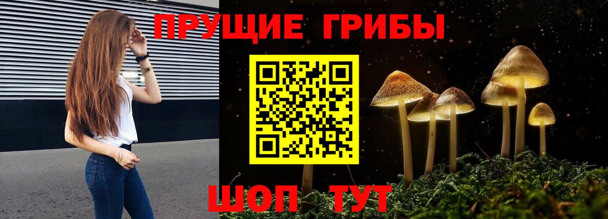 Галлюциногенные грибы Cubensis Корсаков
